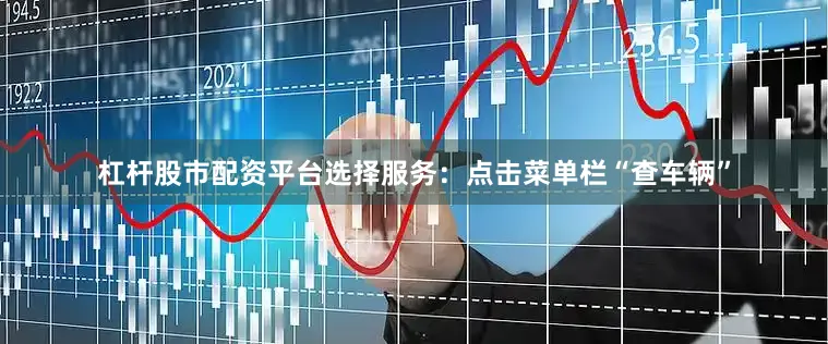 杠杆股市配资平台选择服务：点击菜单栏“查车辆”